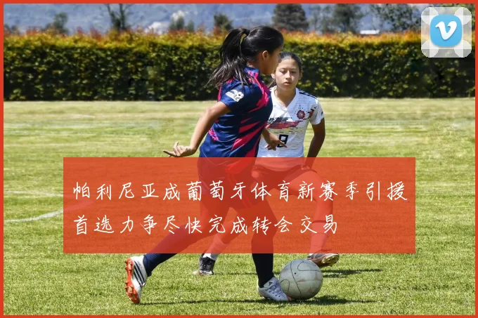 帕利尼亚成葡萄牙体育新赛季引援首选力争尽快完成转会交易