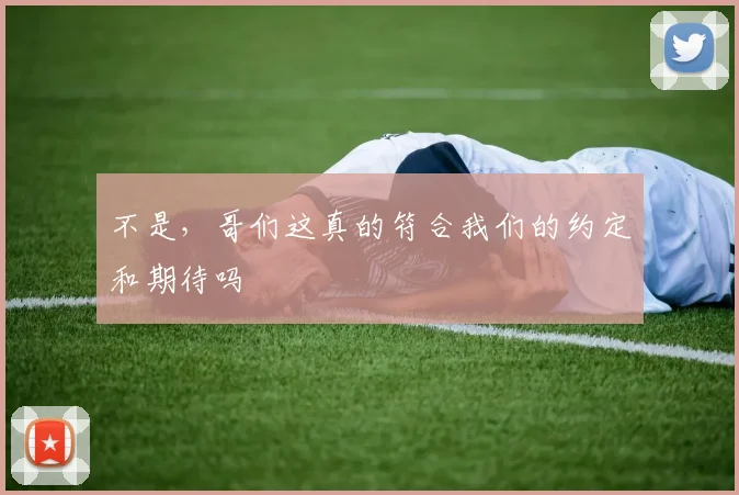 不是，哥们这真的符合我们的约定和期待吗