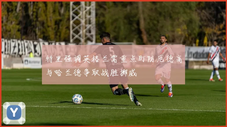 特里强调英格兰需重点盯防厄德高与哈兰德争取战胜挪威